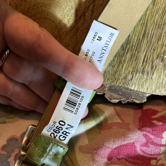 Vtg ANN TAYLOR Size Medium Green Leather Croc Embossed Belt Silver Closure NEW - Picture 11 of 16